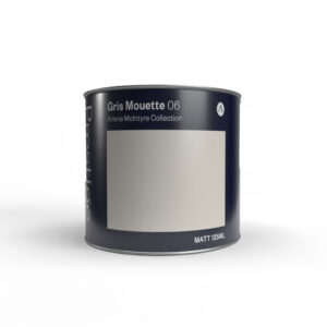 Gris Mouette 06